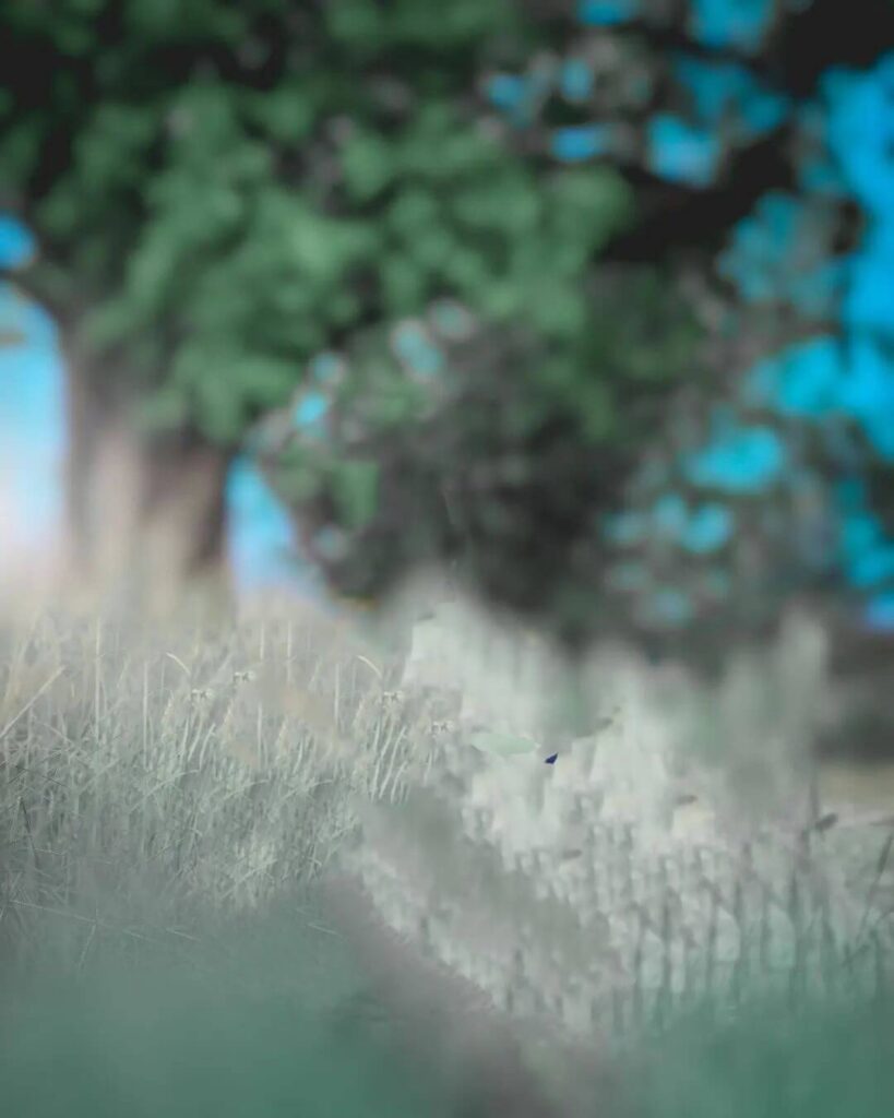 CB Background HD Full size