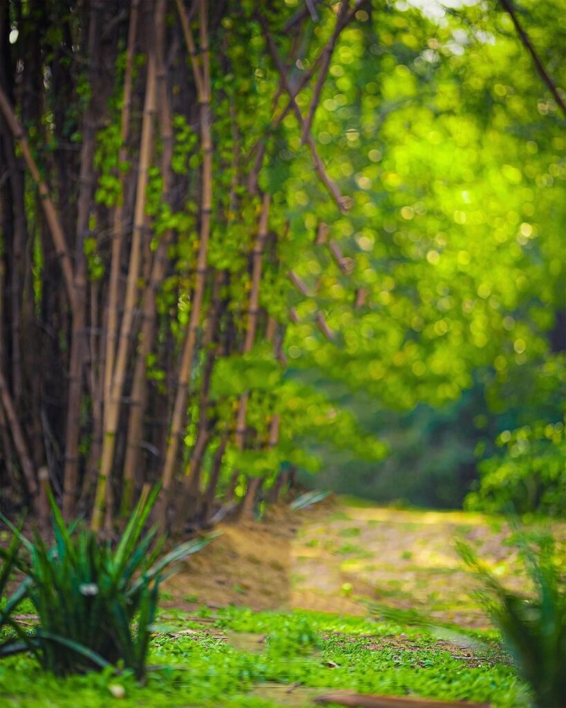 CB Background New