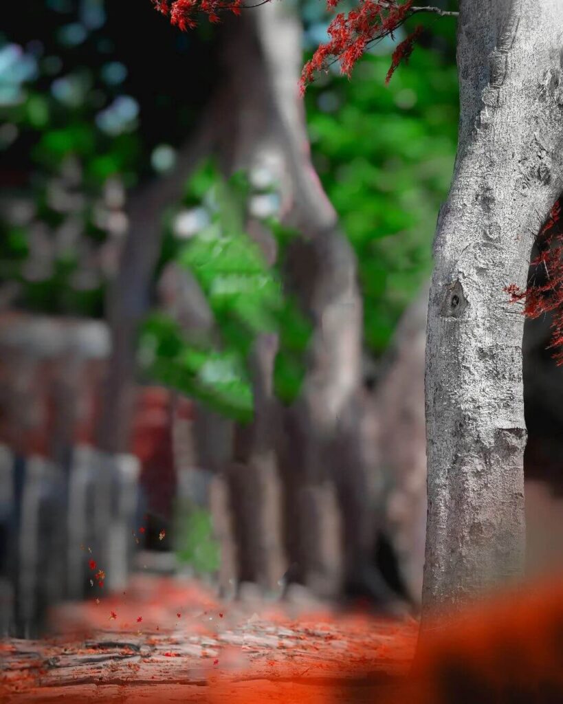 CB Editing Background full hd