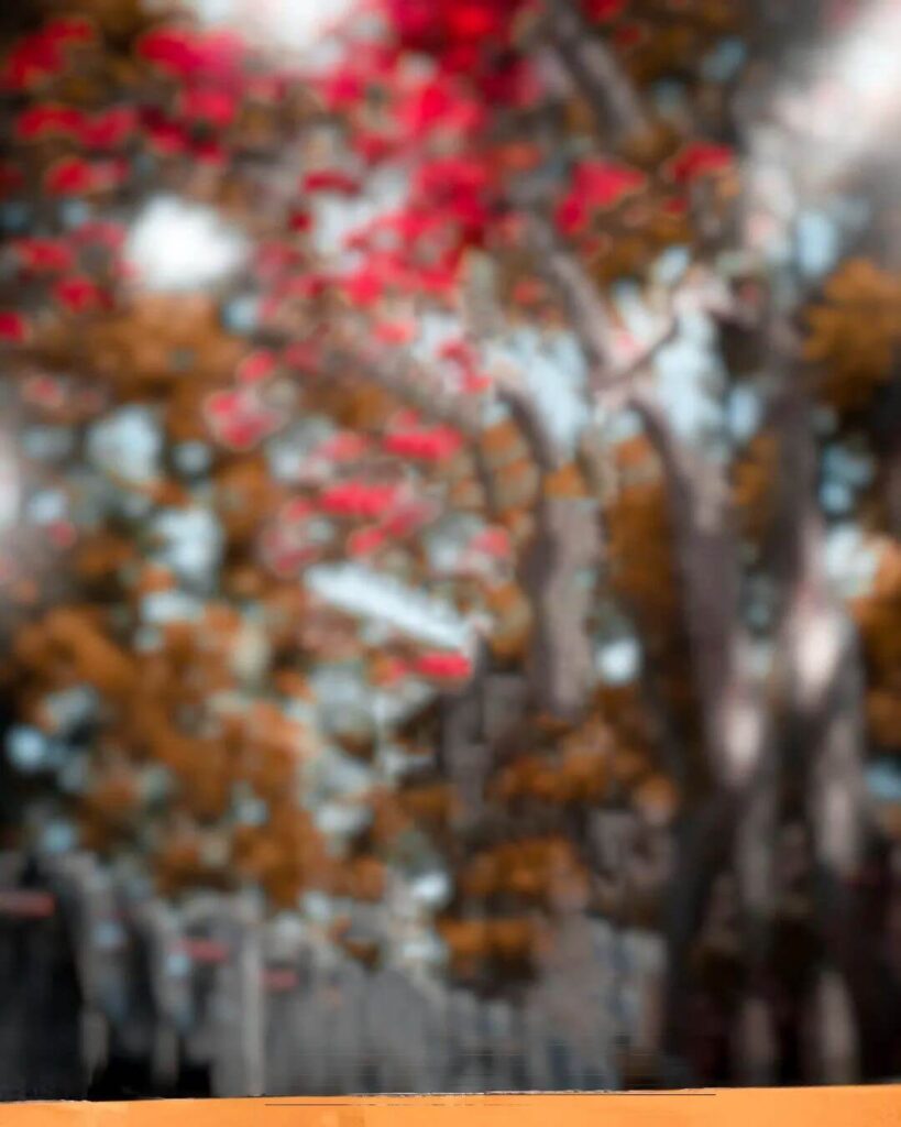 CB Editing Background full hd download