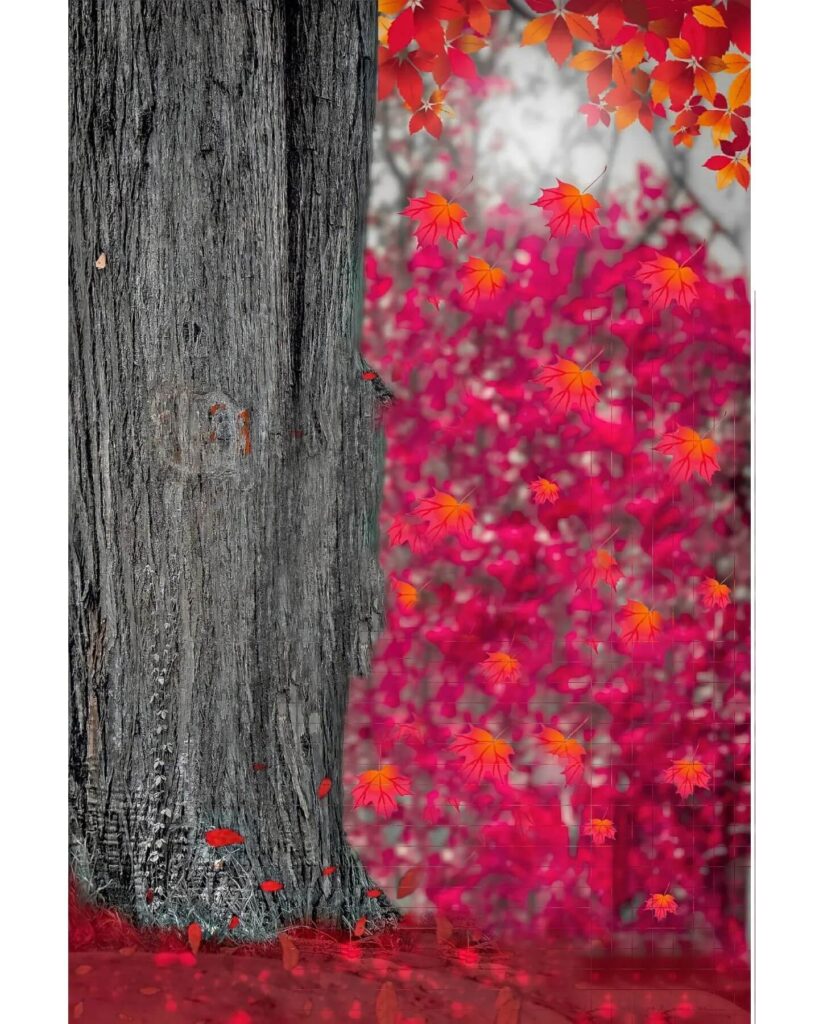 Snapseed Background Colour download