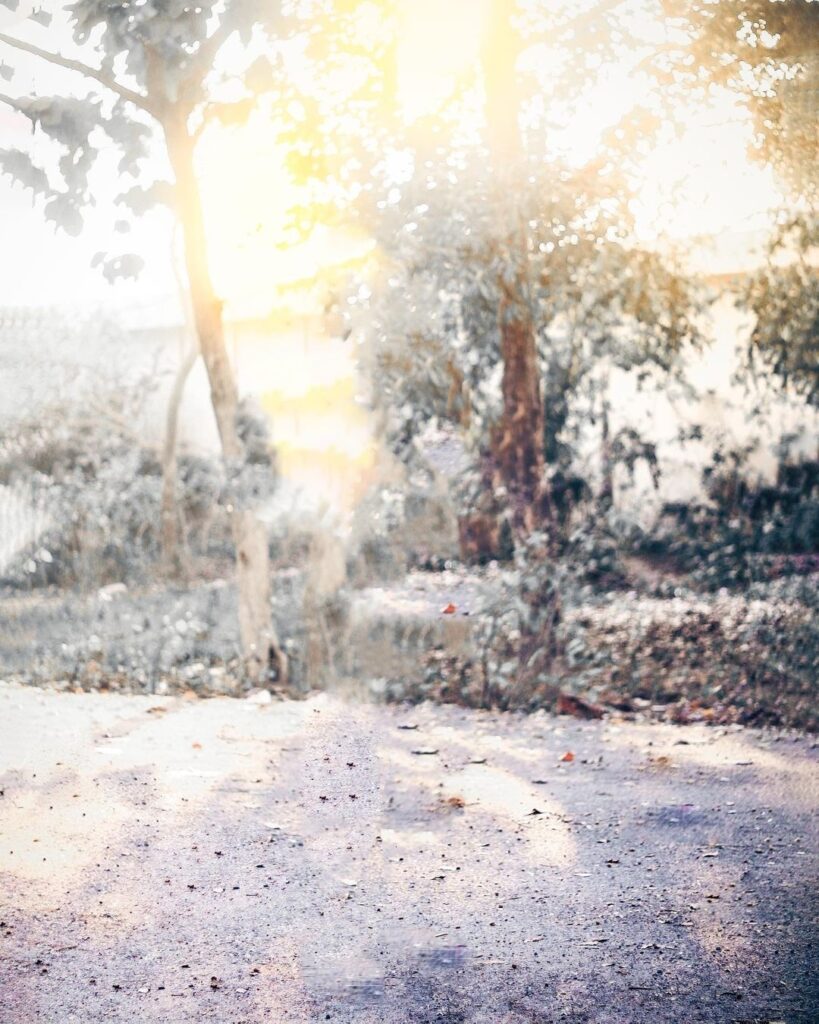 Snapseed Background Light Download