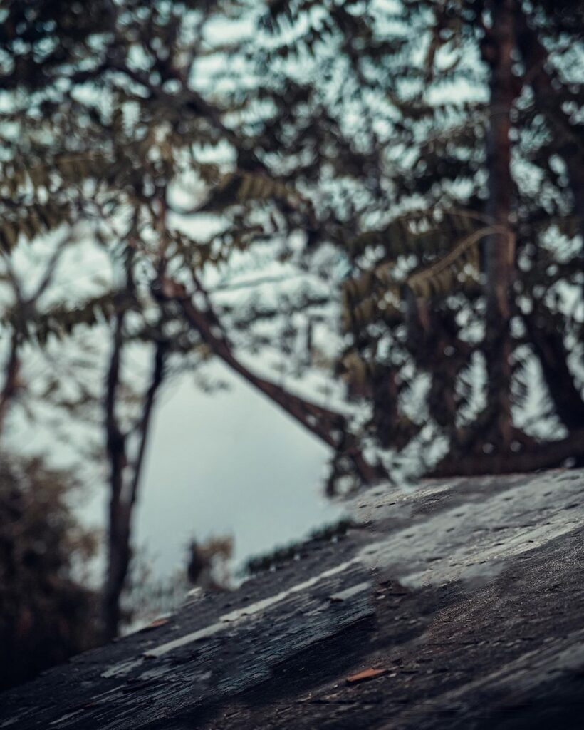 Snapseed Editing Background Download