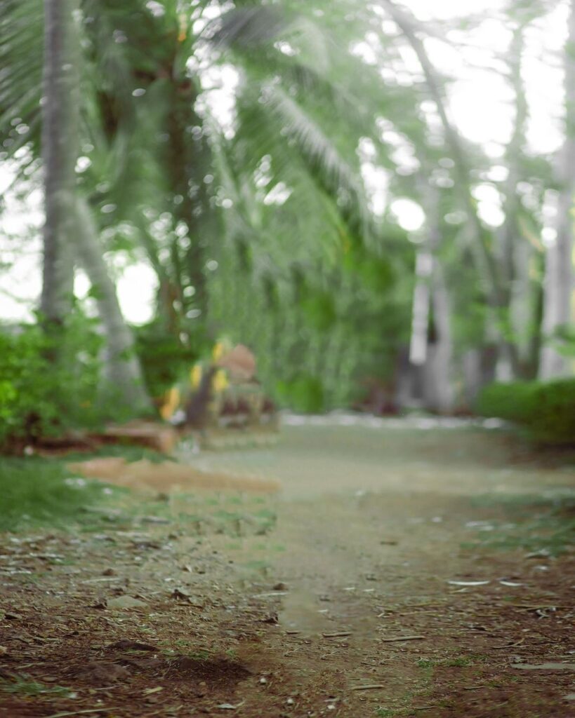 Snapseed Png Background Full HD Download
