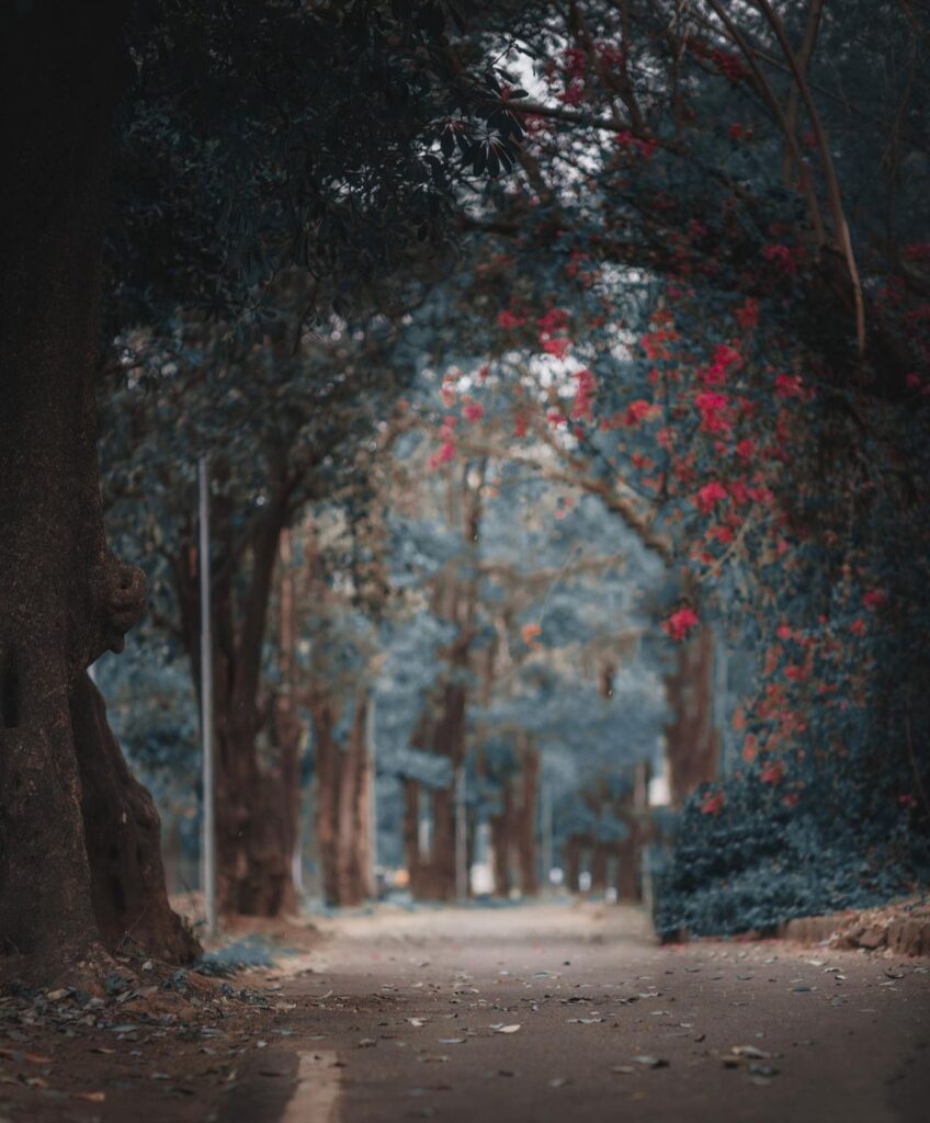 Snapseed background download hd 4k