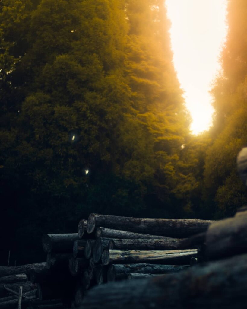 light cb editing new background download full hd