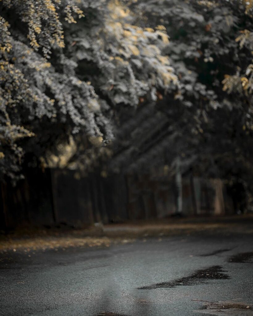 new Snapseed Png Background Full HD Download