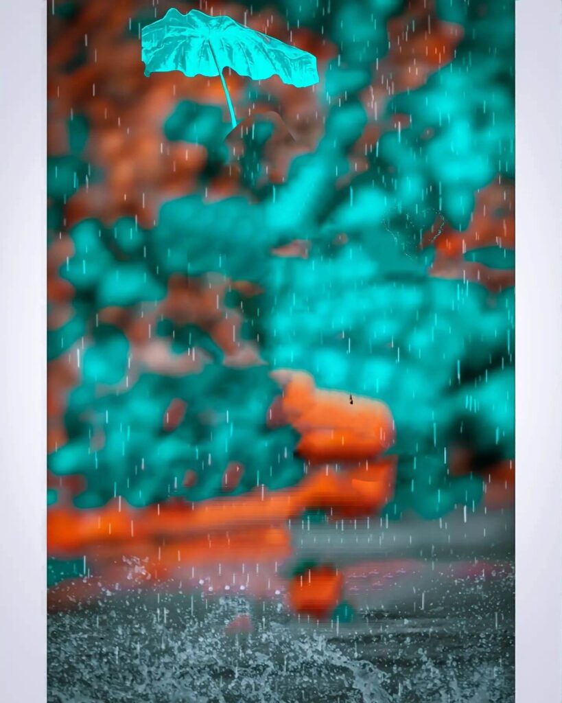 snapseed background colour