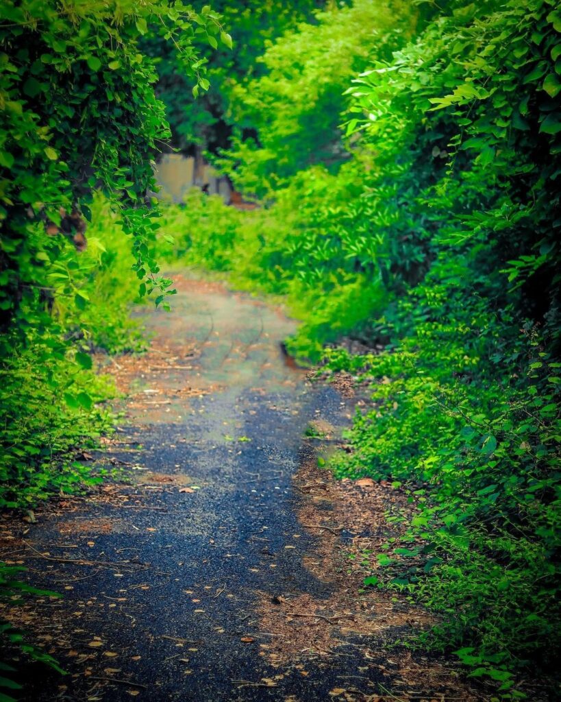 snapseed background editing full hd download