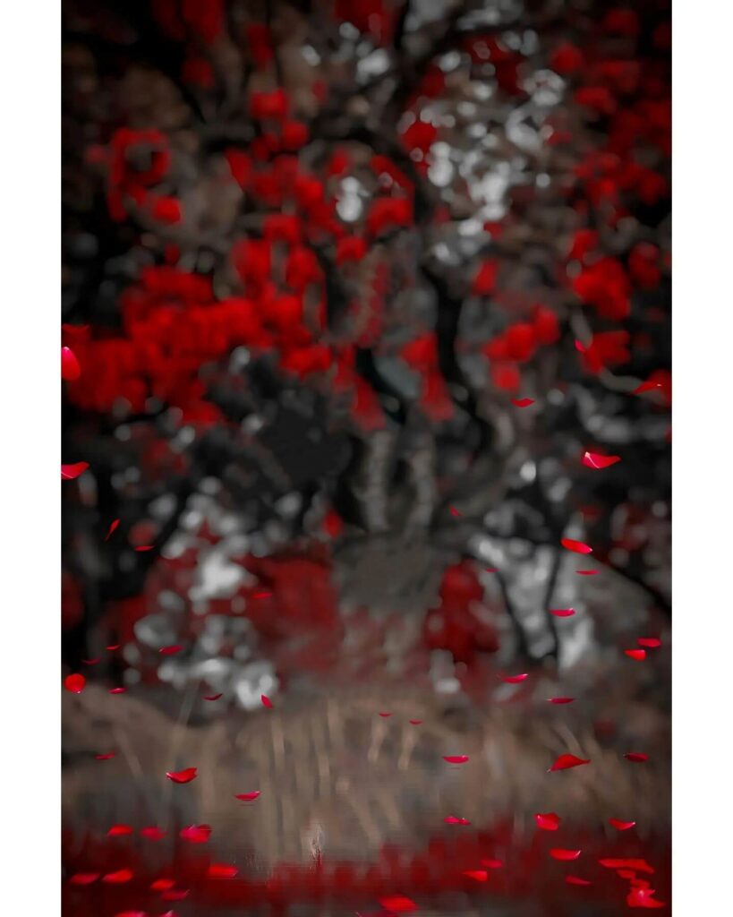 snapseed background hd images
