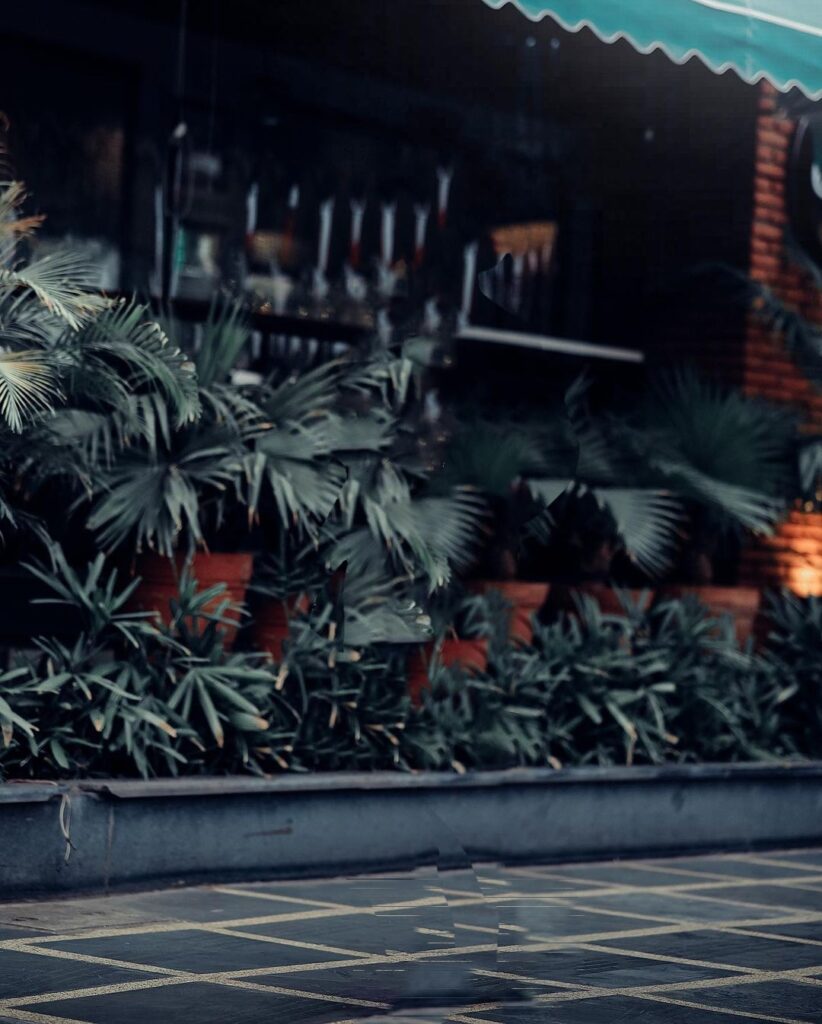 snapseed full hd background download