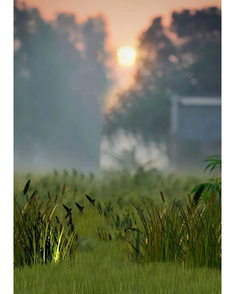 sun light cb background full hd
