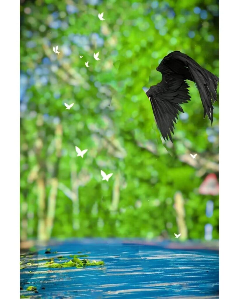 wing cb background full hd