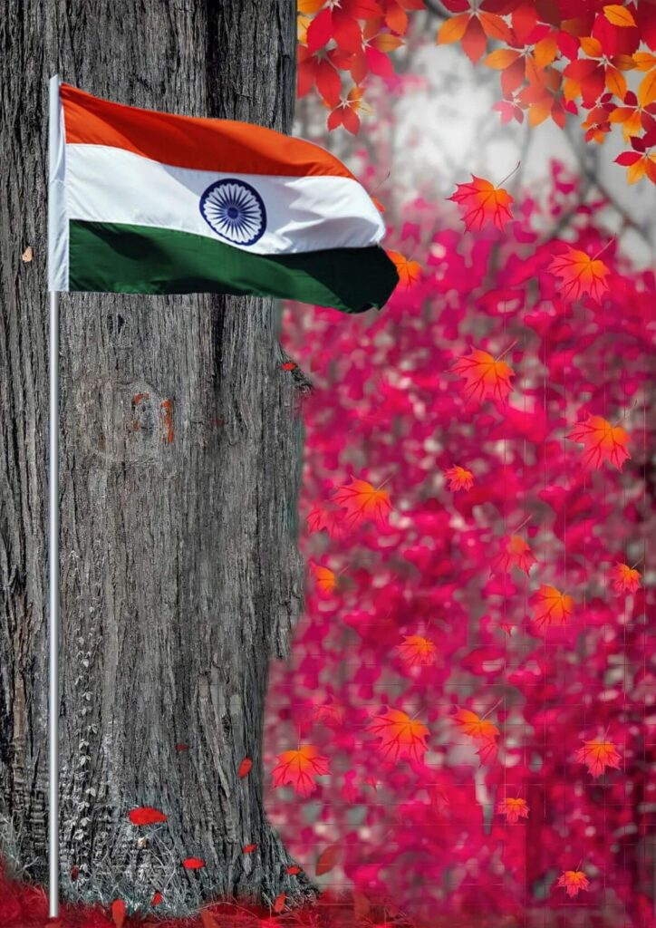 1000+ 15 august editing background full hd download free 42 independence day editing background hd