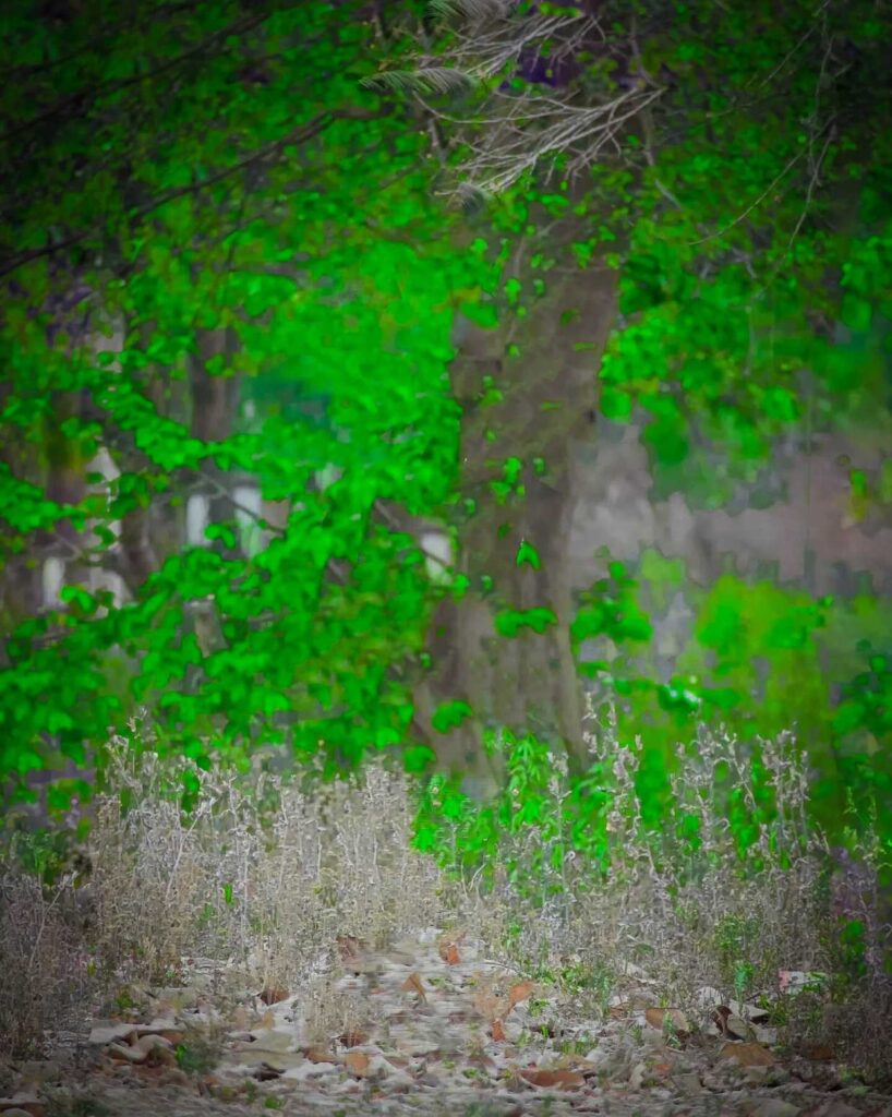 1000+ best Lightroom background hd download free 2024 12 Lightroom Background HD 4k