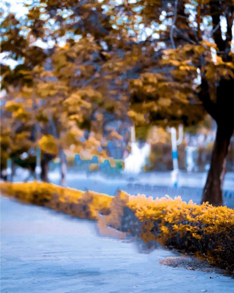 1000+ best Lightroom background hd download free 2024 2 editing lightroom background