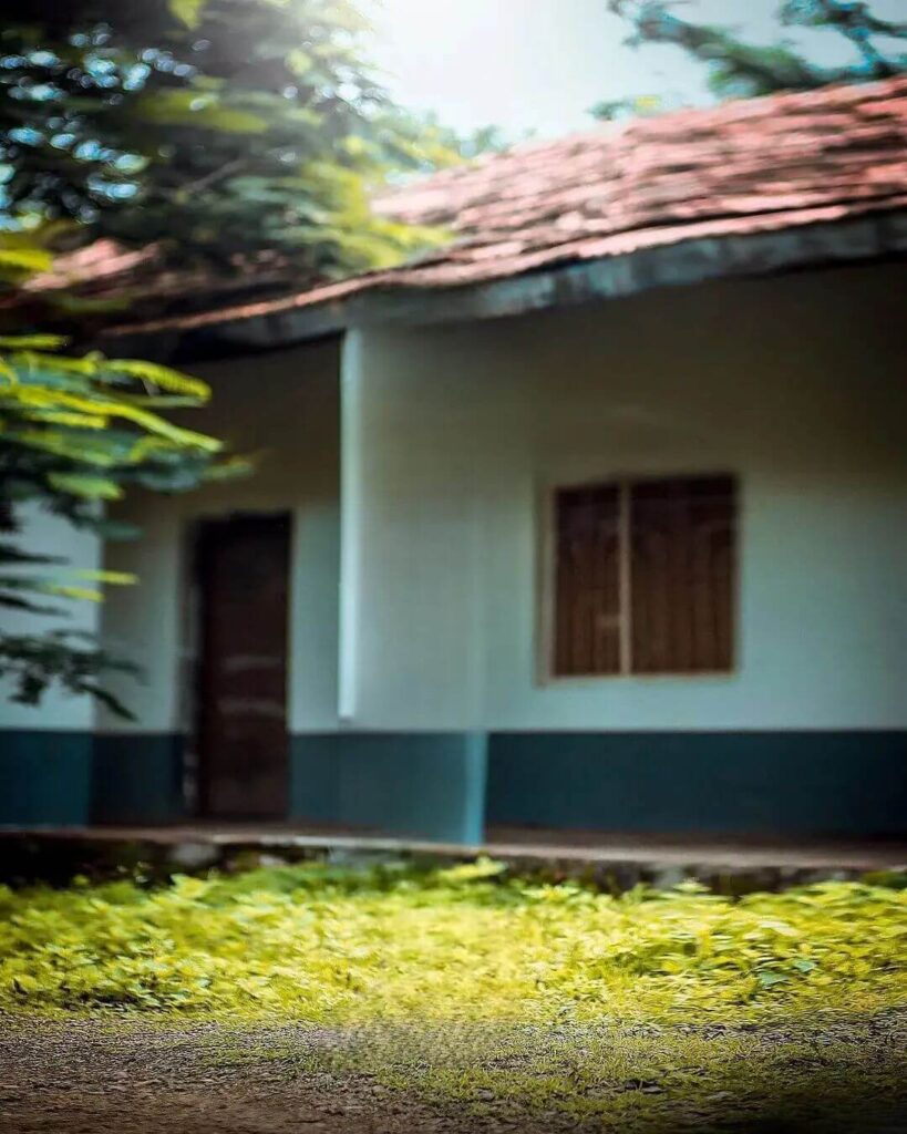 house nature instagram background hd