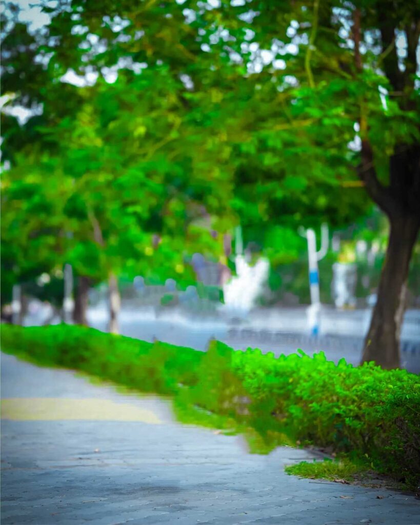 1000+ best Lightroom background hd download free 2024 19 lightroom background lr editing