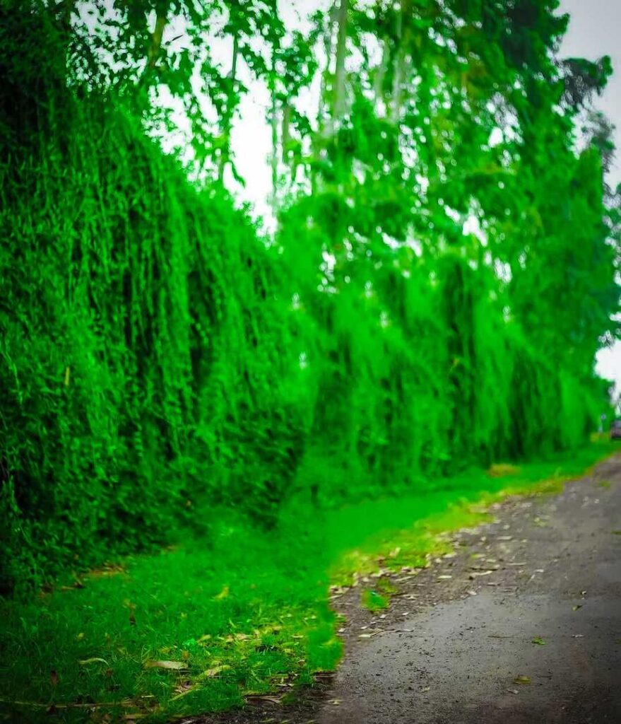 1000+ best Lightroom background hd download free 2024 23 lightroom background png download