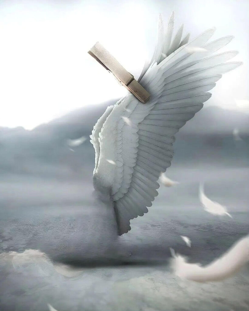 vijay mahar white wing background full hd