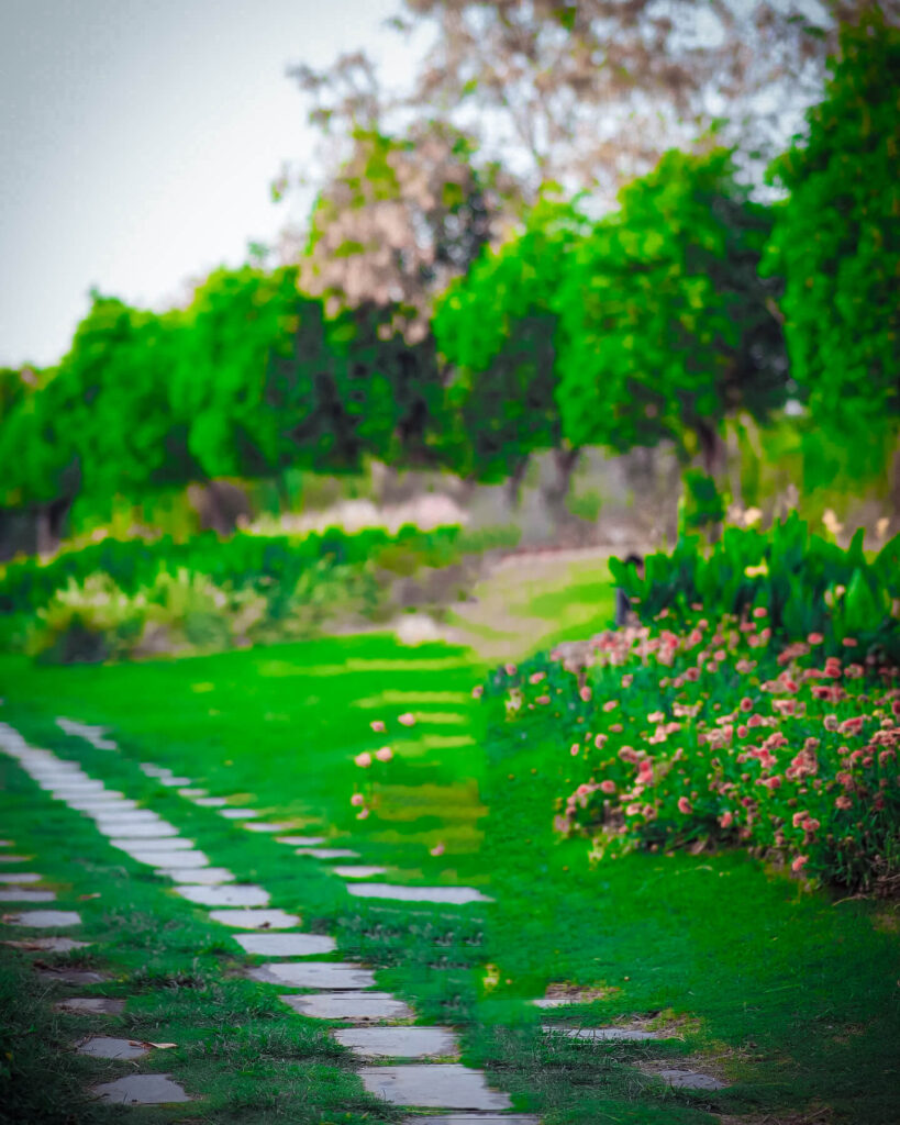 Cb Blur Park Background Download