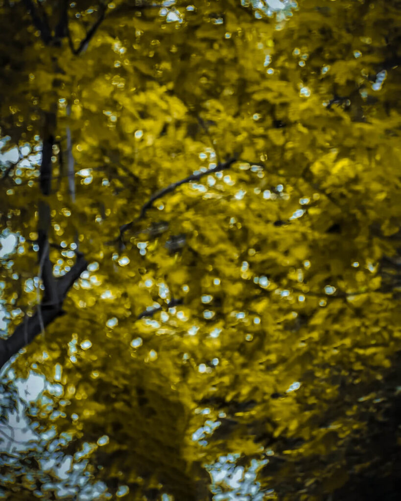 hd lightroom background 1080p 73 hd lightroom background 1080p