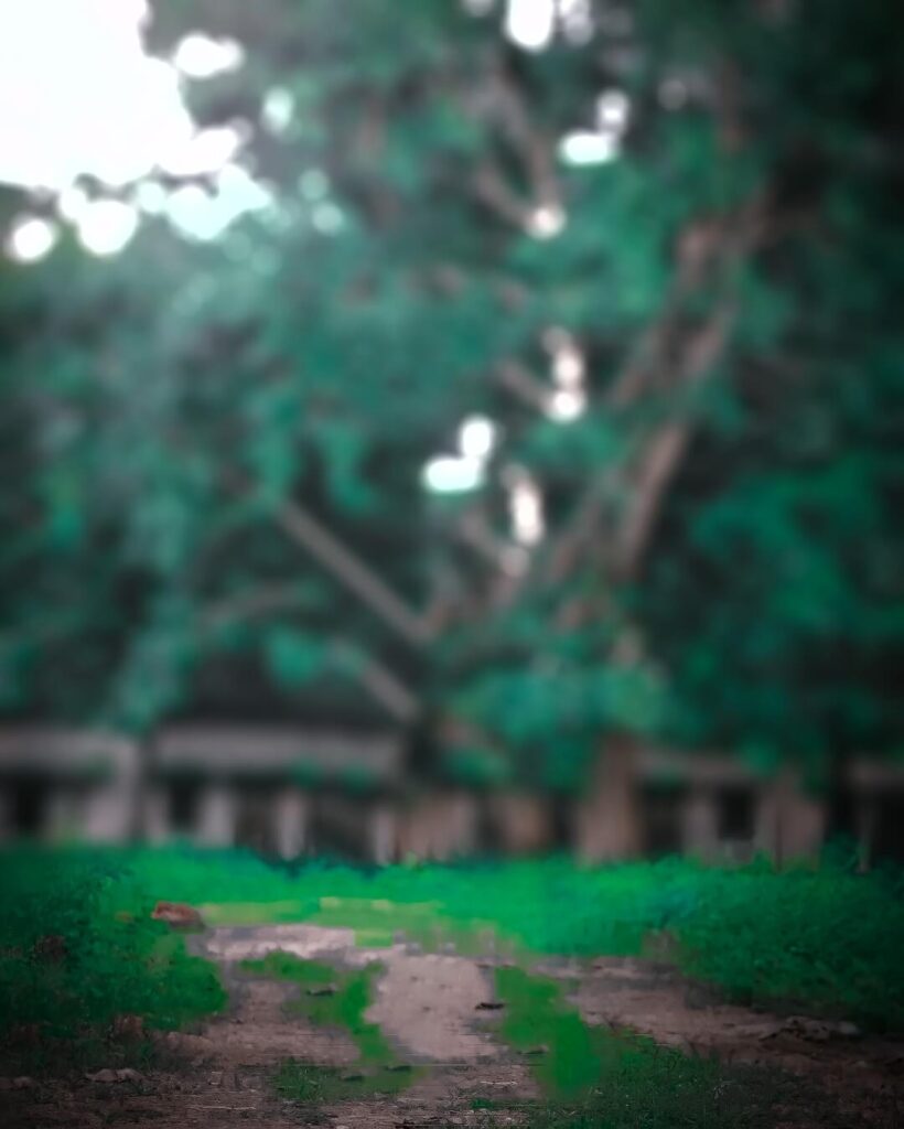 lightroom background 1080p 4k 70 lightroom background 1080p 4k