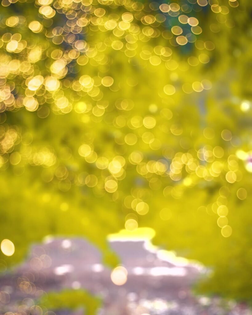 lightroom bokeh background hd 66 lightroom bokeh background hd