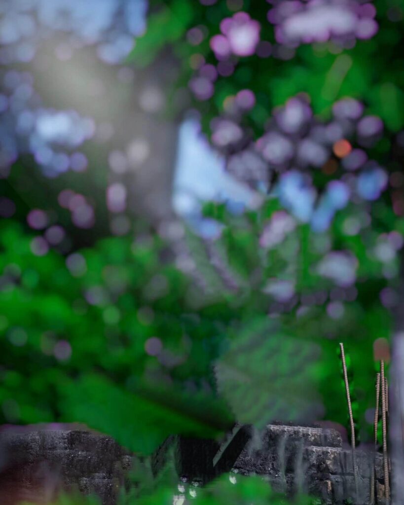 photo background images for editing