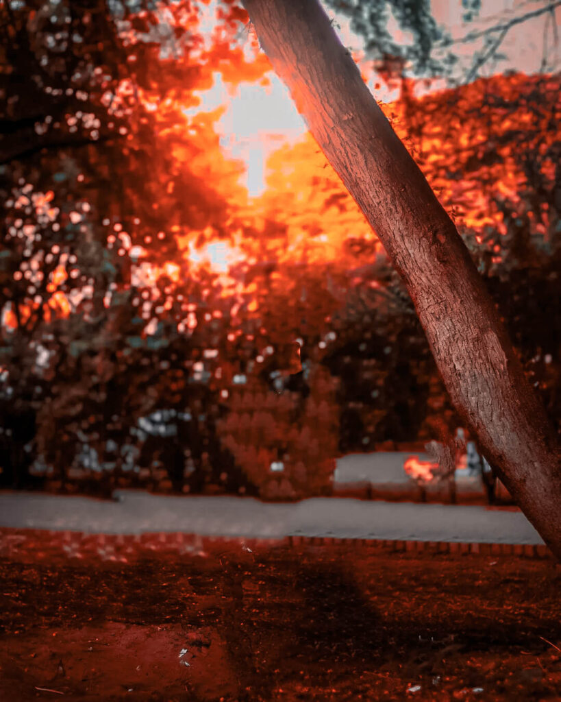 pic editing background