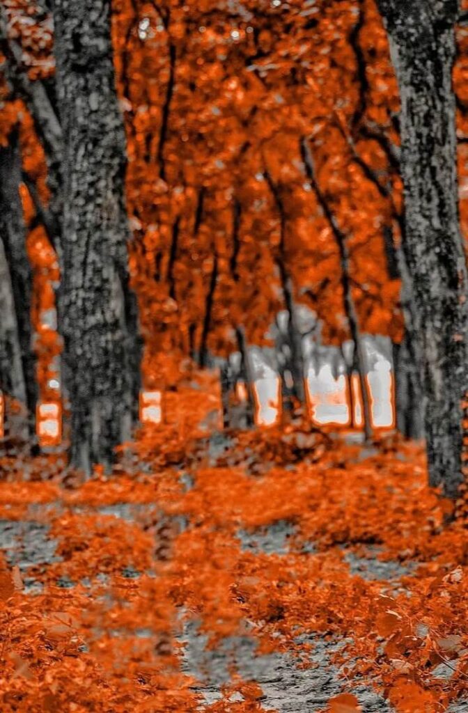 best photo background images