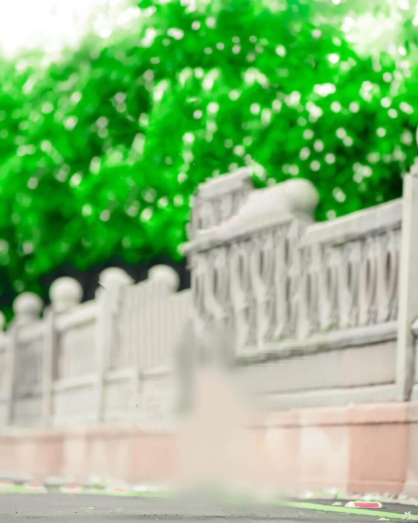 dslr photo background hd