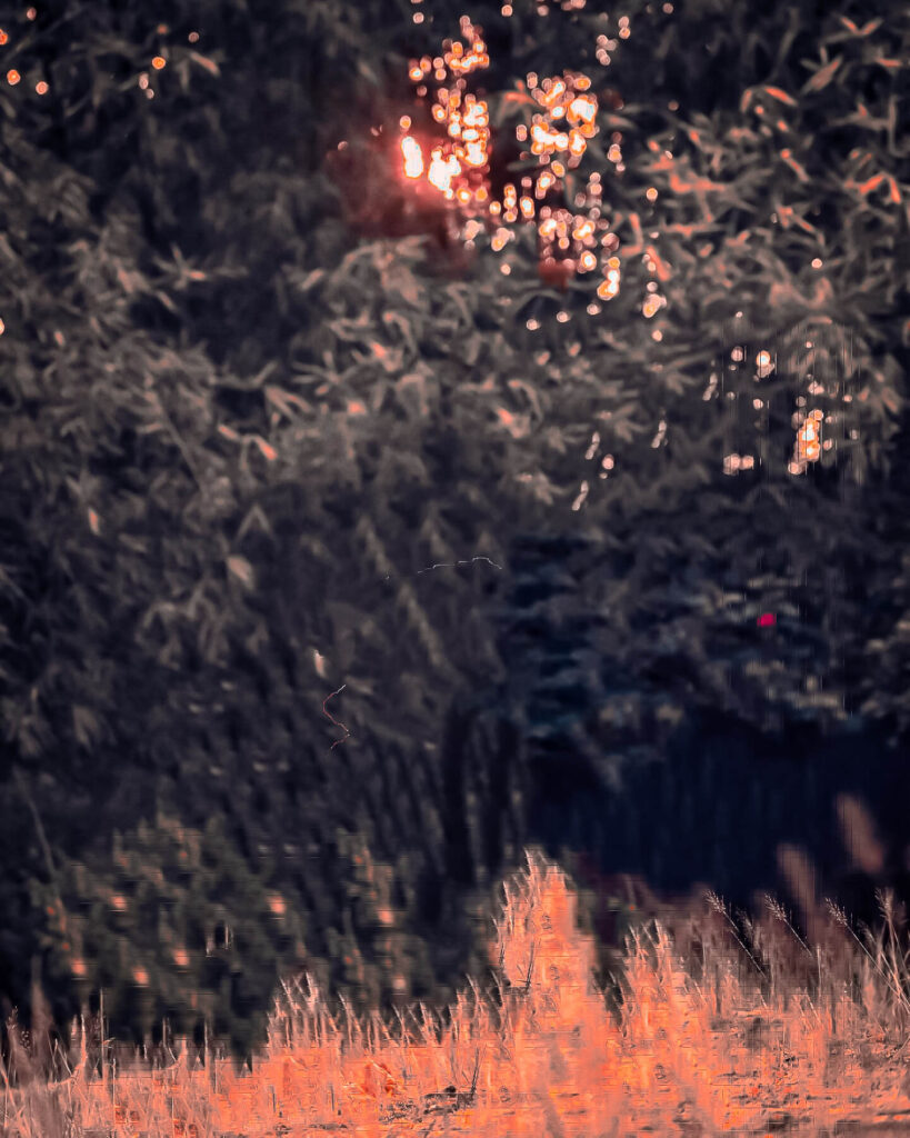 edit photo background new