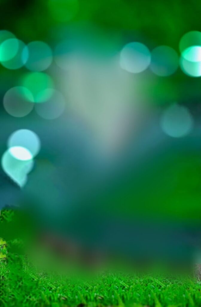 lightroom blur background