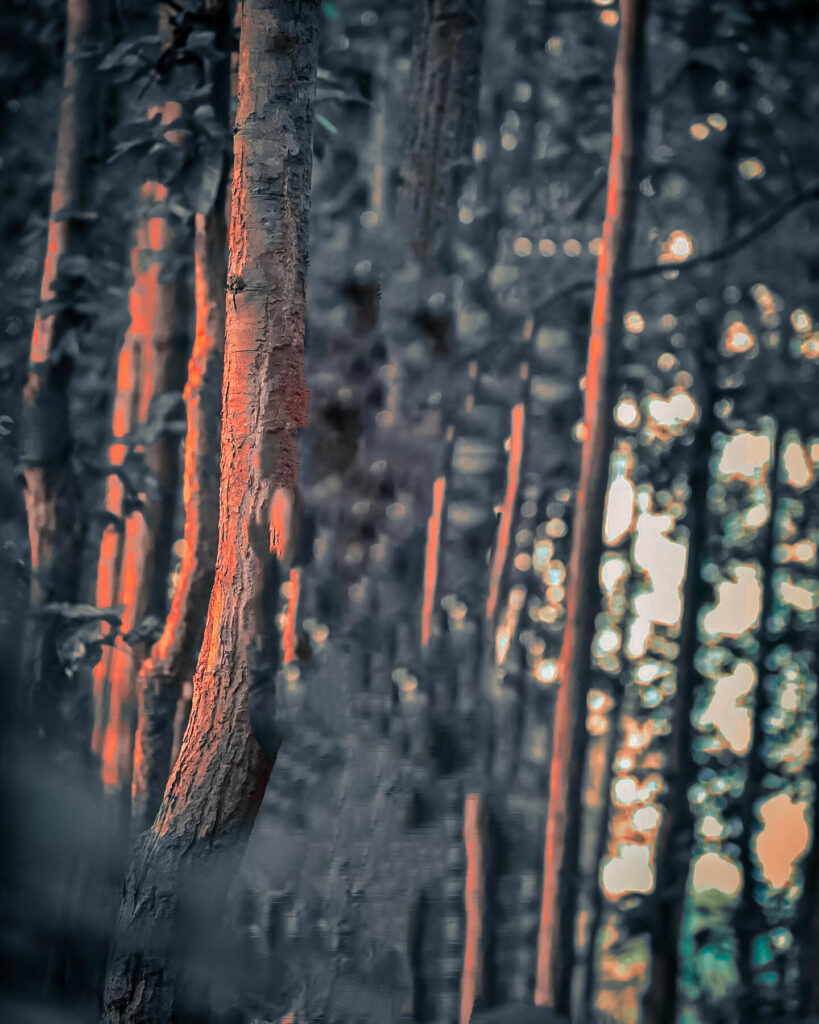 lightroom edit photo background