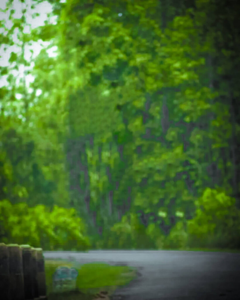 photo background download