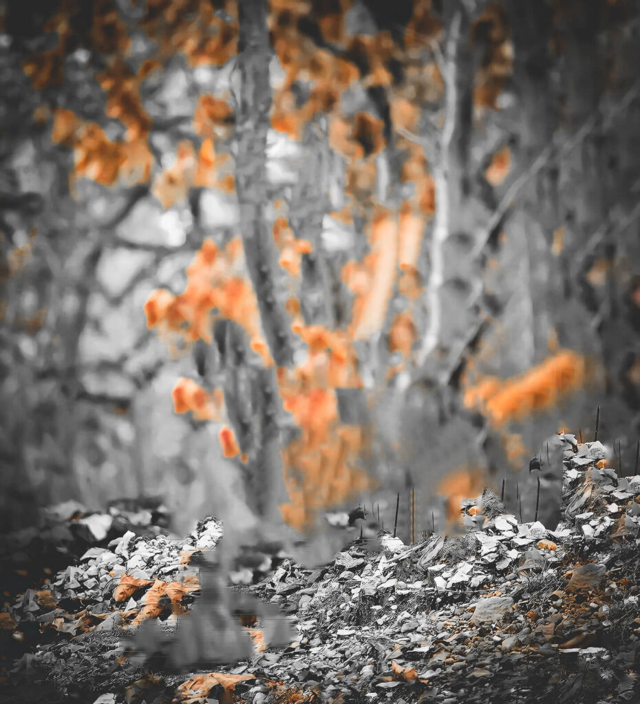 photo background editing