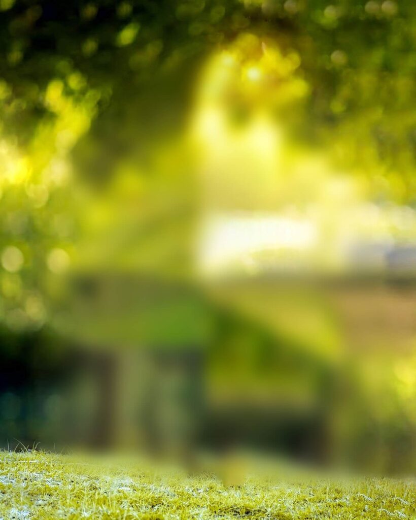 photo background hd blur