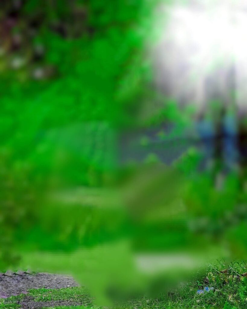 photo background hd full