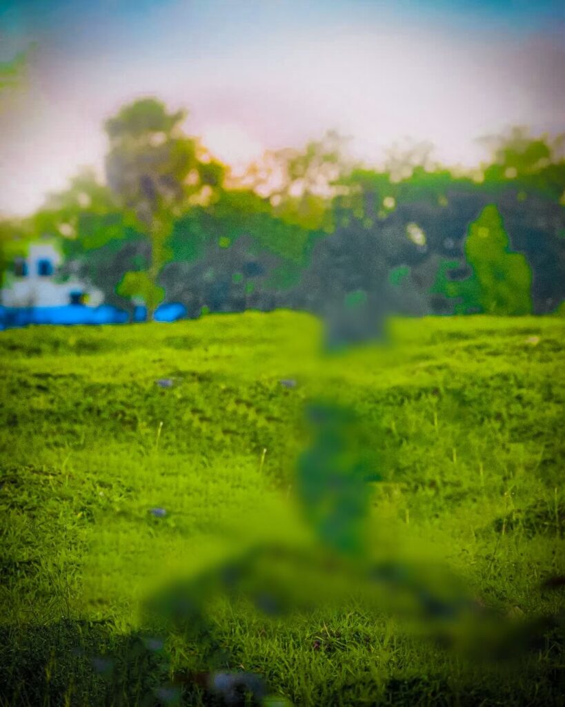 photo background hd pictures free download