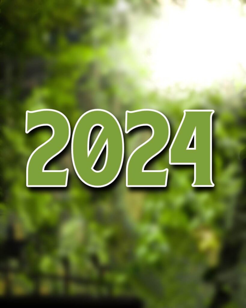 HD Happy New Year Editing CB Background For Photo