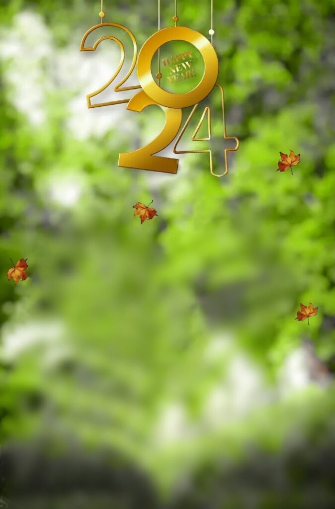 Happy New Year 2024 Photo Editing bg