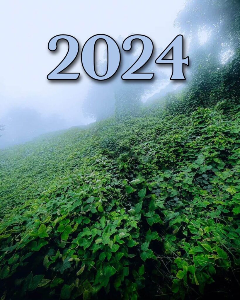 Happy New Year 2024 photos background 11 happy new year 2024 photos background