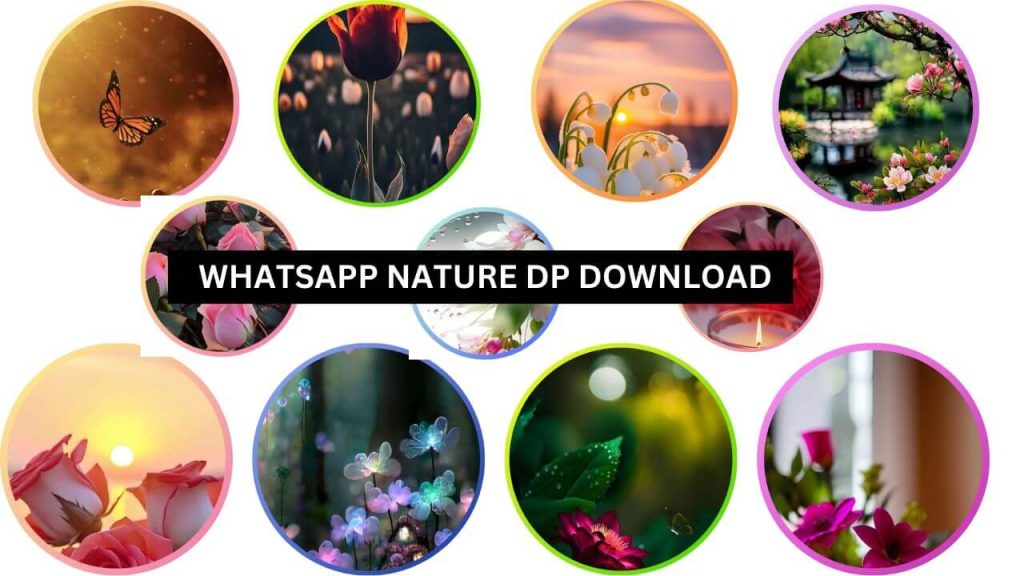 natural attractive whatsapp dp
