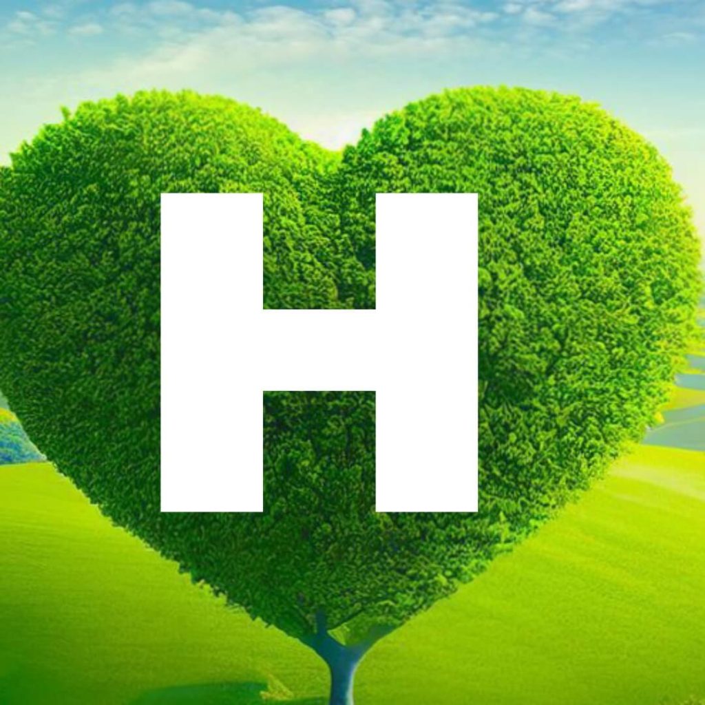 h name image dp