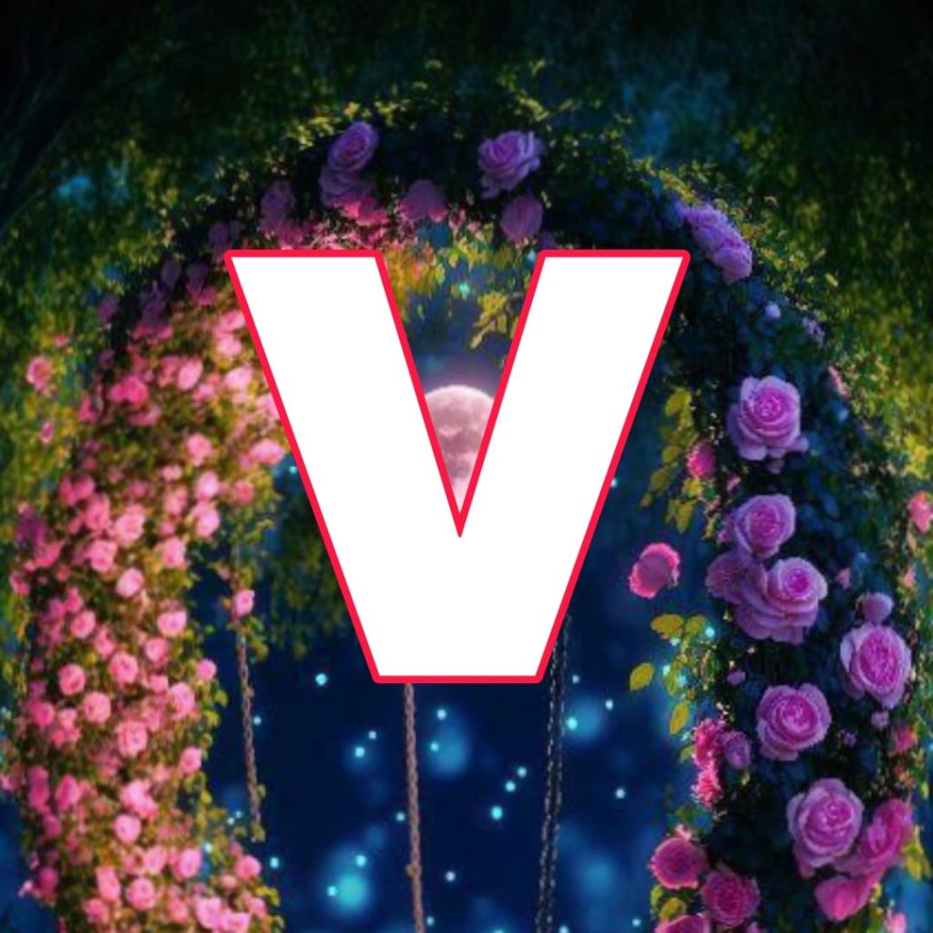 v name ki dp