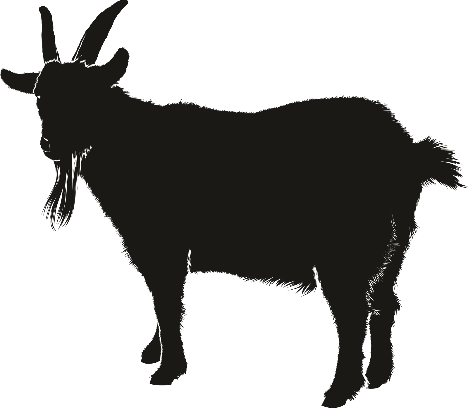 Goat Transparent Png HD Free Download