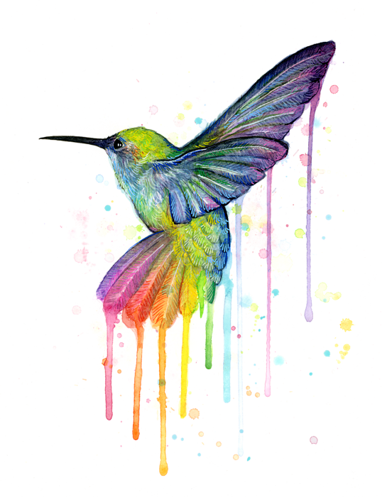 Watercolor Art Bird Png HD Free Download