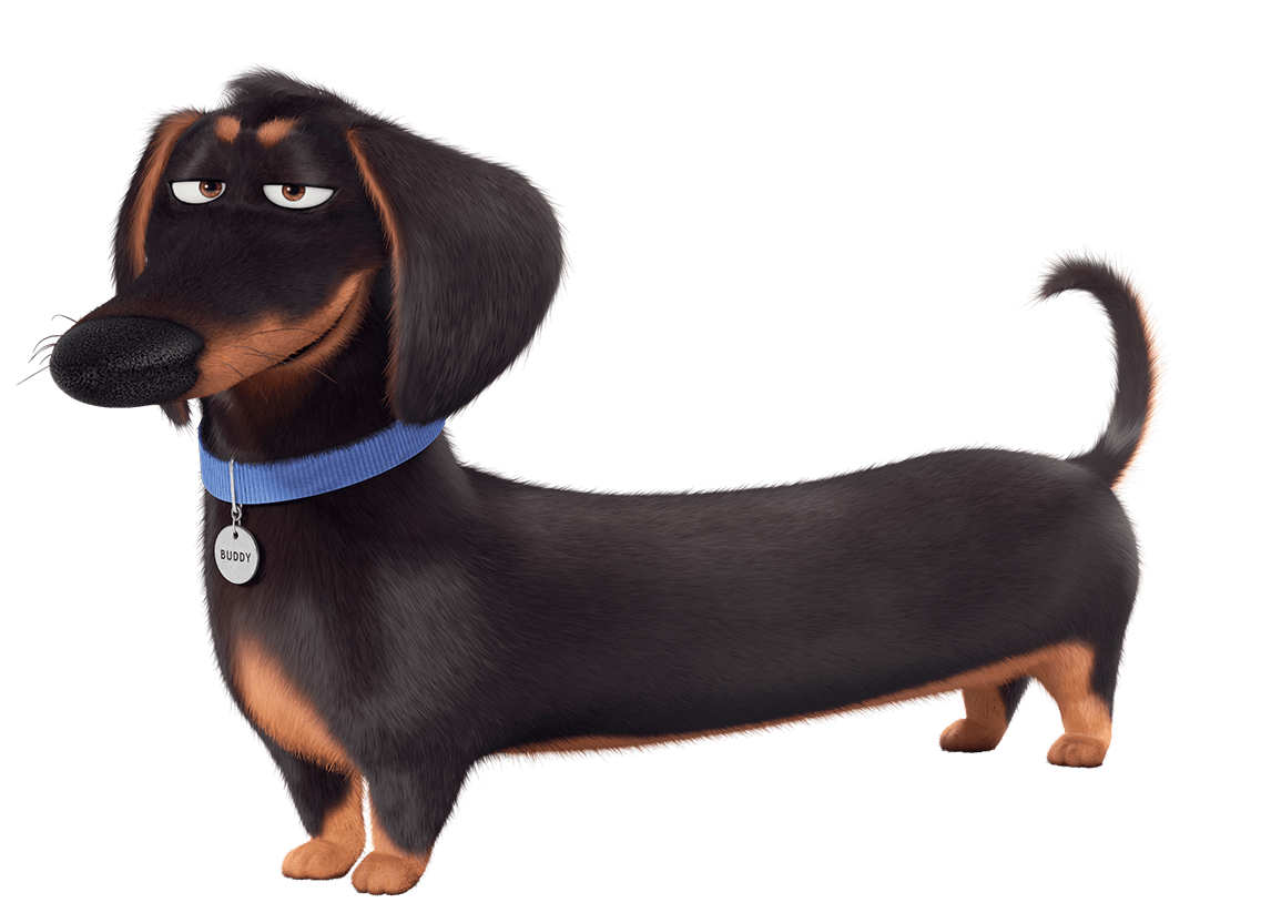 Of The Life Secret Pets Png Hd Free Download