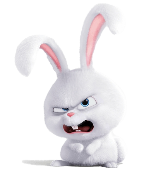 Life Pets Of Snowball Secret Rabbit The Png HD Free Download